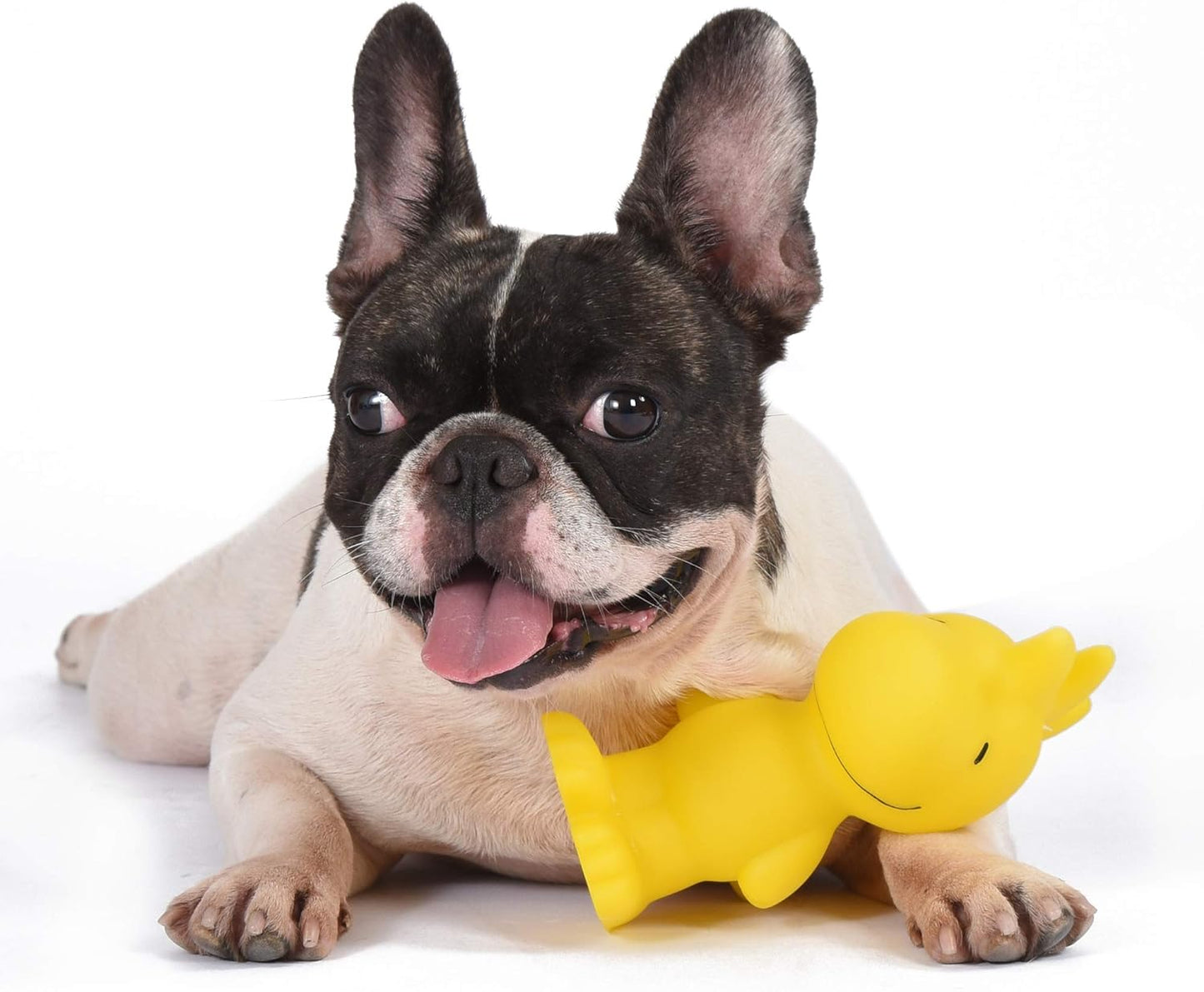 Charlie Brown Woodstock Vinyl Squeaker Dog Toy - Fun and Cute Vynil Toys for Aggressive Chewers - Officially Licensed, 5.5 Inch